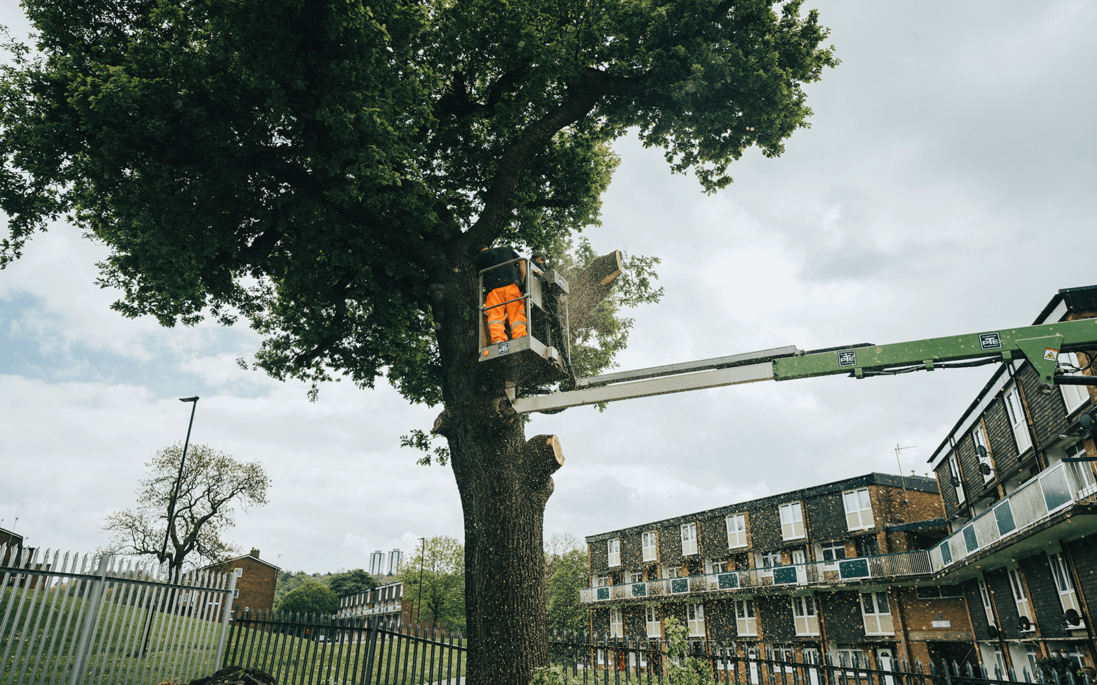 Old Oak Landscaping Work